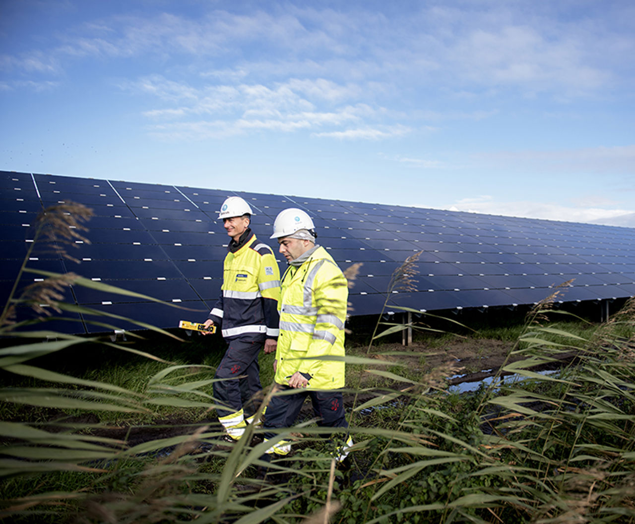 Los trabajadores frente a los paneles solares